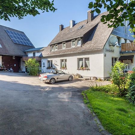 Ferienwohnungen Lindenhof Willingen  Bagian luar foto