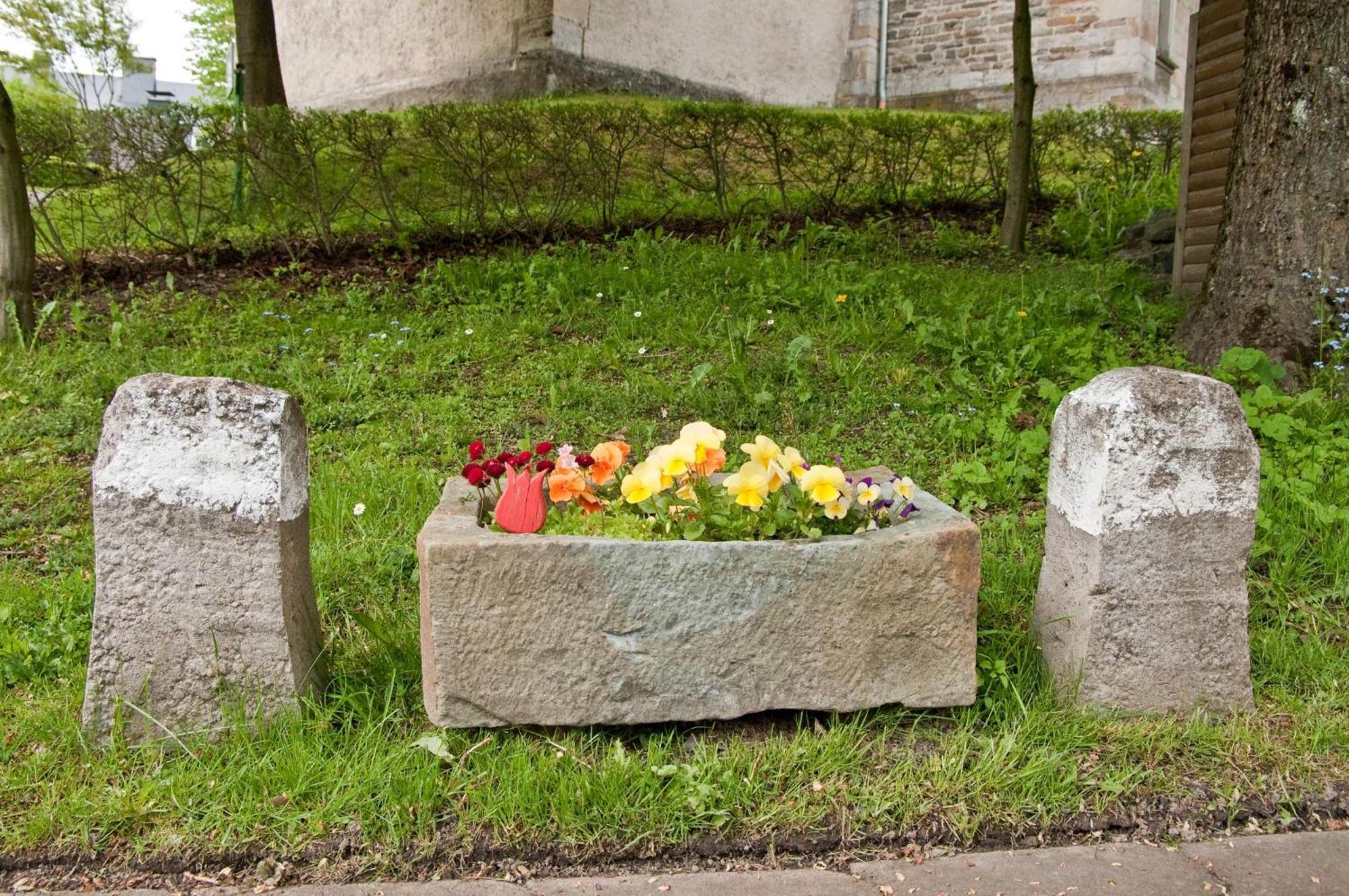 Ferienwohnungen Lindenhof Willingen  Bagian luar foto